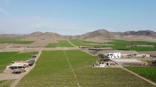 Green agricultural fields in a desert valley, the Andes mountain range is behind in the background.