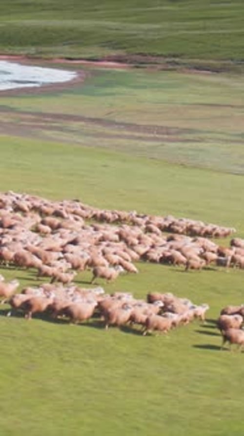 Vertical View Of Caucasus Mountains