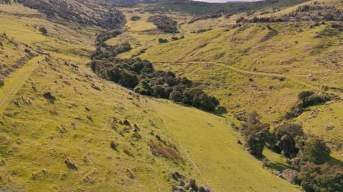 Aerial Journey Over Rolling Green Hills and Valleys Green Hills and Lush Valleys in New Zealand