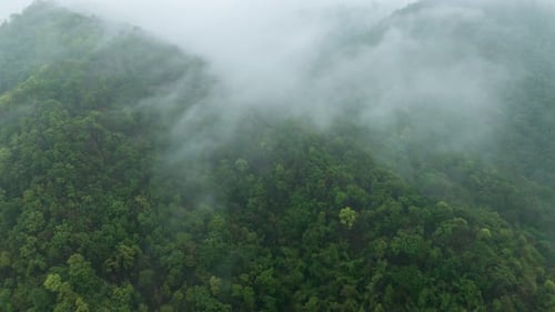 Aerial view morning scenery Mist flowing over the high mountain.