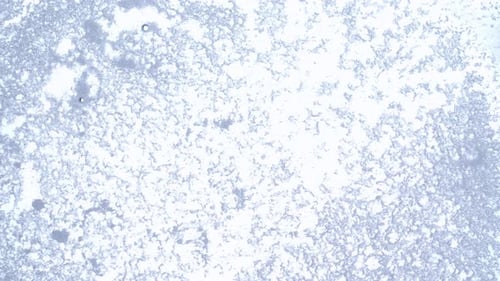 White Foam Layer on Water Surface Moving Soap Bubbles Under Ultra Sound Vibrations Abstract