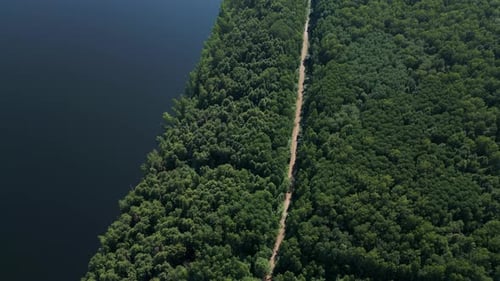 A Stunning Aerial View Showcasing a Lush Green Forest Alongside a Serene Waterbody Below Clip