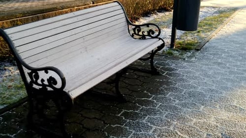 White bench in a park on sunrise on a cold winter day with frost