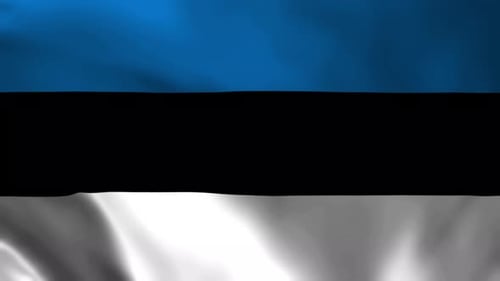 Waving Flag of Estonia Animated Background Loop