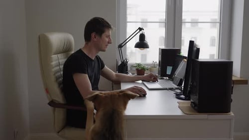 Man Works at Desk with Dog Beside Him