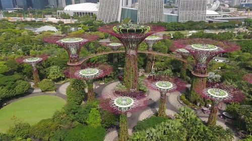 Luftaufnahme der Umlaufbahn, die den ikonischen Supertree Grove in Gardens by the Bay einfängt