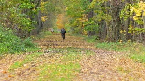 Cyclist rides down leaf-covered forest trail in fall.