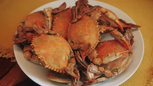 Boiled Crabs on Plate Close Up