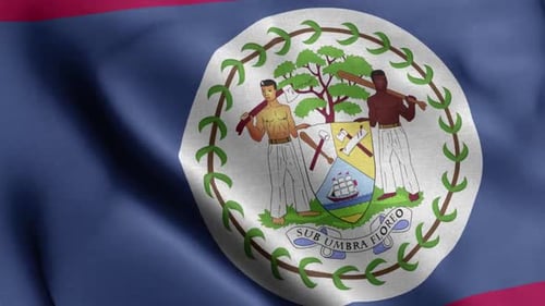 Belize National Flag Waving Realistic Loop