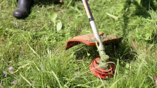A Man Mows the Grass with a Trimmer on a Summer Day