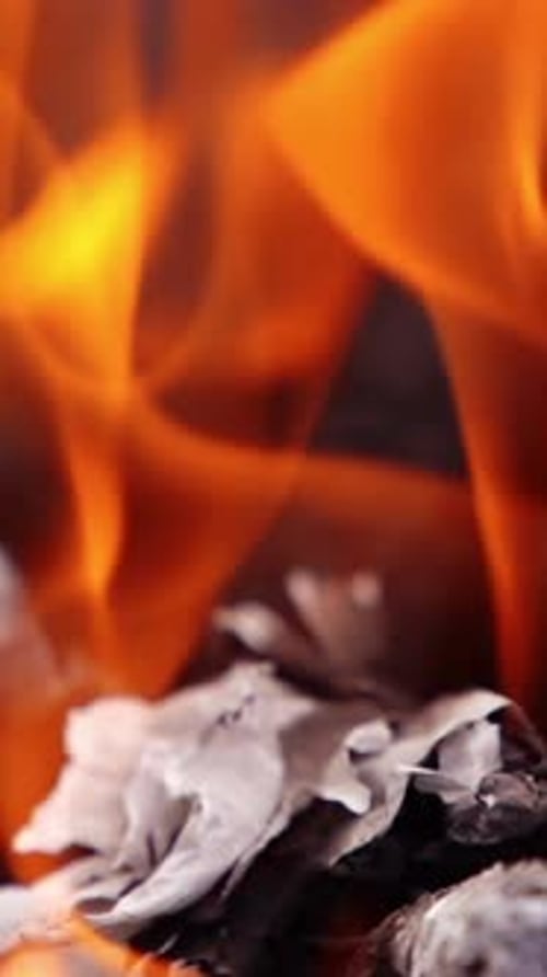 Tongues of flame fire, close up. Close up view of firewood and pinecone on fire flames
