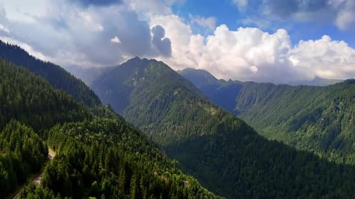 Jaw-dropping high mountains covered with pine tree woods. Fluffy clouds in the blue sky above.