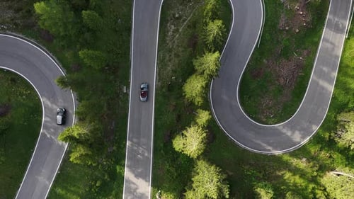 Winding Mountain Road Through Lush Greenery in Summer