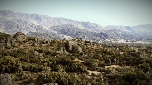 Dawn View of Rugged Mountains with Sparse Vegetation and Rocks