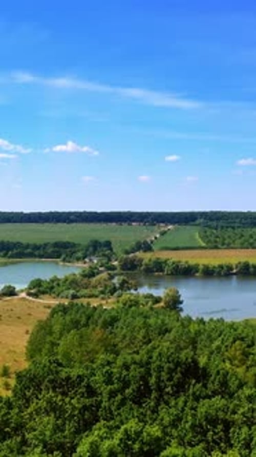 Im Sommer über die wunderschöne grüne Natur der Landschaft fliegen.