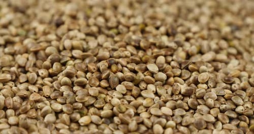 Hemp Seeds Rotating Background, Macro. Organic Food. Dried Superfood. Hemp Seeds Texture Background