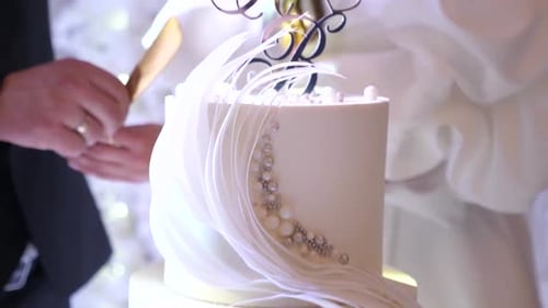 Bride and Groom Cutting Elegant Wedding Cake