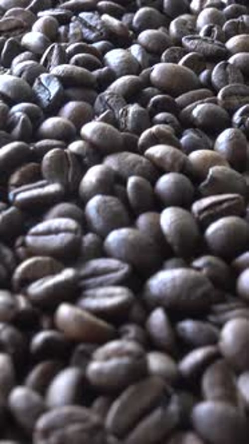 Roasted Coffee Beans Macro Close Up