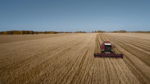 Golden harvest at ripe rural wheat meadow with modern farm truck top view