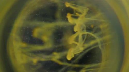 Paint Steam Defocused Vapor Whirl Lens Ink Drop