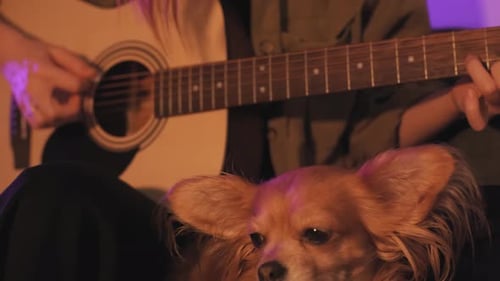 Woman Plays Guitar with Small Dog on Lap