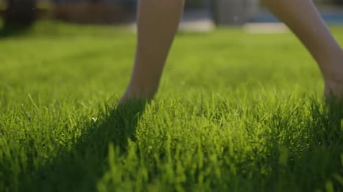 Mulher descalça vagando por um prado verdejante abraçando a serenidade do verão, conectando-se com uma paisagem exuberante