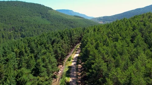 Forest Green Hills And Road With Aerial Shot