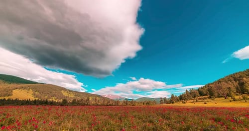 Mountain Meadow Timelapse at the Summer or Autumn Time Wild Nature and Rural Field Clouds Movement