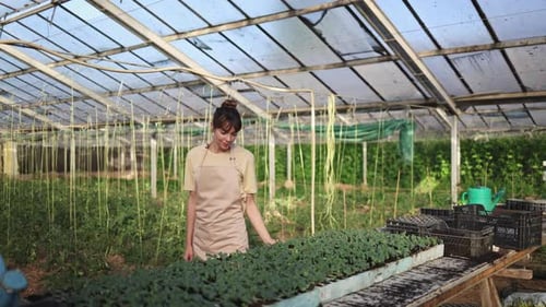 Woman tending seedlings in a greenhouse