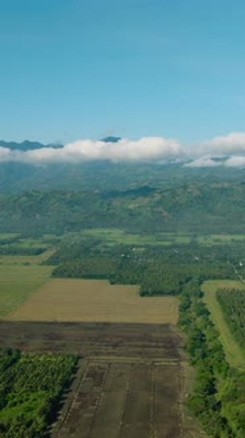 Farmland in Tropical Mountain Philippines