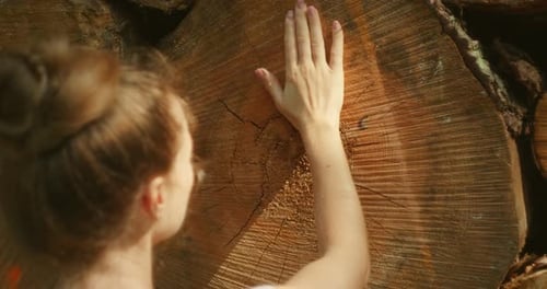 Main touchant une grande souche d'arbre montrant des anneaux dans la forêt par une journée d'été ensoleillée