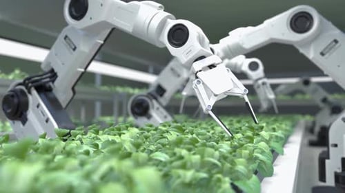 Robotic Arms Tending Plants in Smart Agriculture Animation
