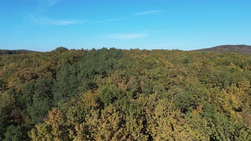 Im Herbst 48 über den Wald fliegen