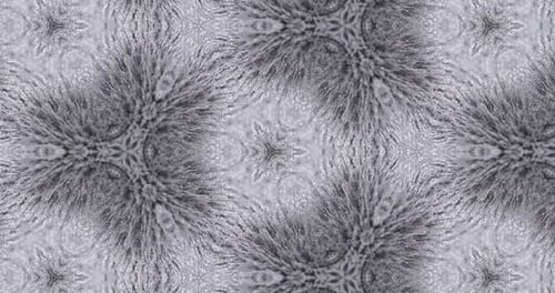 Abstract Flowing Fur Texture Kaleidoscope Loop Background