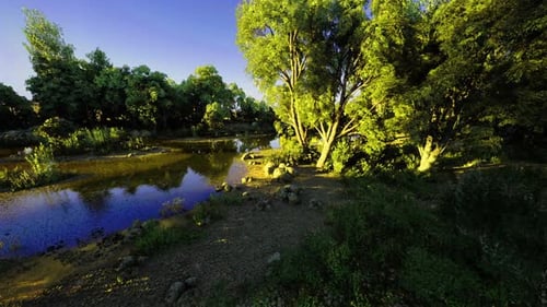 Serene Nature Scene Scenic Landscape Featuring Calm Water and Vibrant Trees