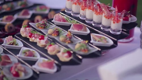Delicious Catering Of Canape Snacks Rack Focus