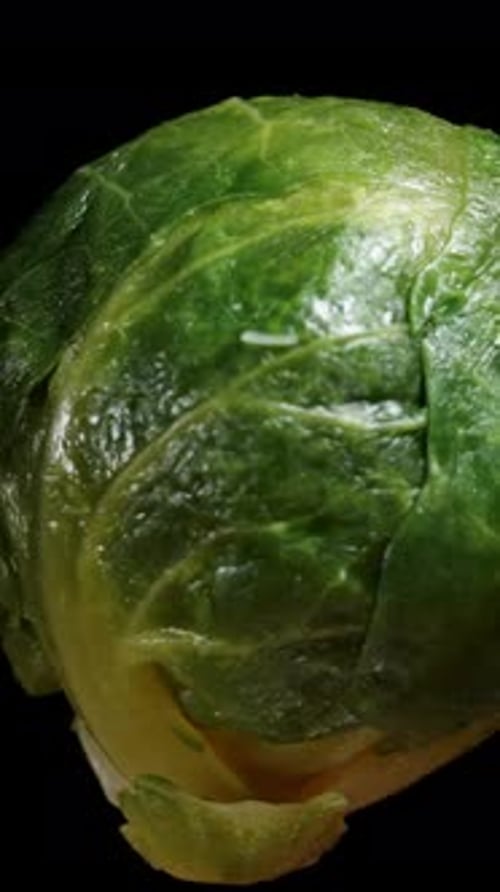 Vertical video. Brussels sprout, fresh and raw, rotates on a black background. close-up. isolated