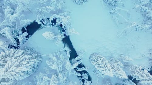 Bird's Eye View Of Winterly Nature Landscape In A River Forest.