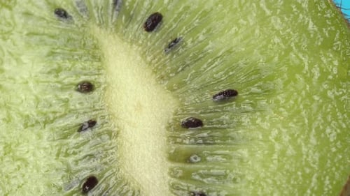 Close Up of a Vibrant Green Kiwi Slice