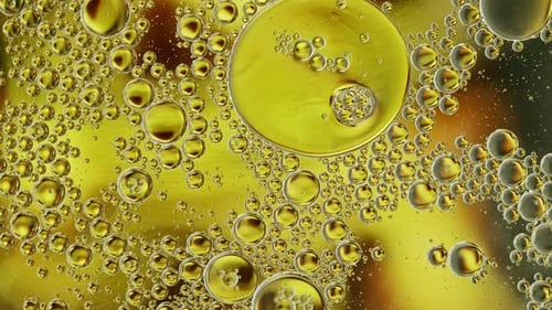 Abstract Colorful Food Oil Drops Bubbles And Spheres Flowing On Water A Surface 04