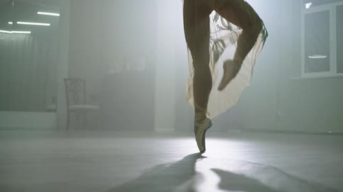 Elegant Ballet Dancer Performing on Pointe Shoes