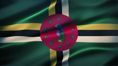 Dominica National Flag Waving Loop Animation