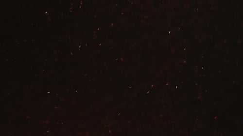 Shimmering Burning Embers on Black Background Close Up
