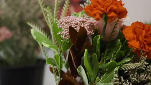 Flowers used in Valentine's arrangements in Close Up.