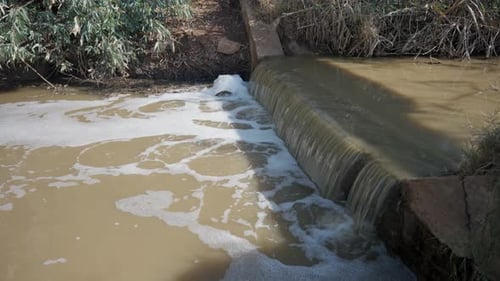 Polluted water stream in israel