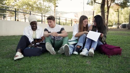 Amigos estudantes universitários sentados na grama aprendendo juntos no campus universitário africano