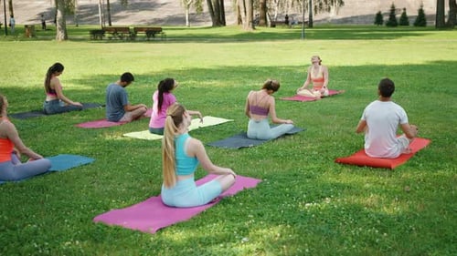Outdoor Yoga Class in Park
