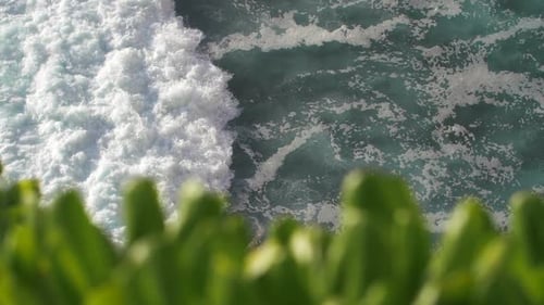 Slow motion of tropical ocean waves crashing, swirling and foaming. Aerial top down through foliage.