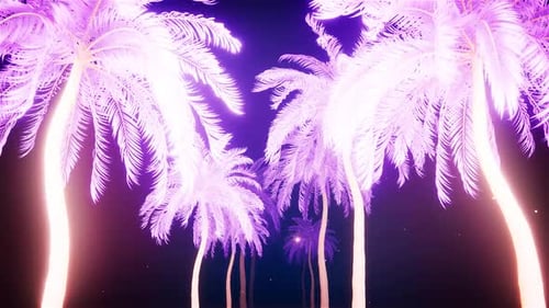 Retro Miami Night Palm Trees