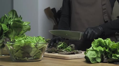 Vegetarian salad with greens. Cutting romaine lettuce green leaves on the home kitchen